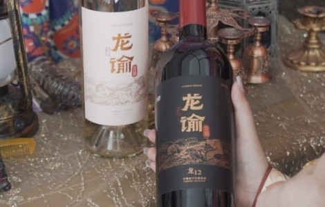 品味至臻：茅臺與龍諭巧妙搭配，高雅送禮之選