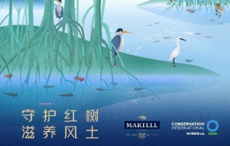 保衛(wèi)地球家園，保樂力加公益一直在行動