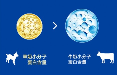 進(jìn)口奶粉排名前十有哪些品牌？佳貝艾特新悅白吸收低敏營養(yǎng)全！